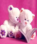 Teddy Bear Live Wallpaper image 11