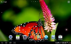 Spring Live Wallpaper HD ekran görüntüsü APK 2