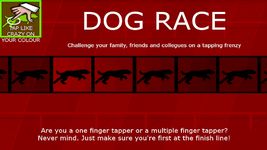 Dog Race Game imgesi 2