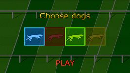 Dog Race Game imgesi 3