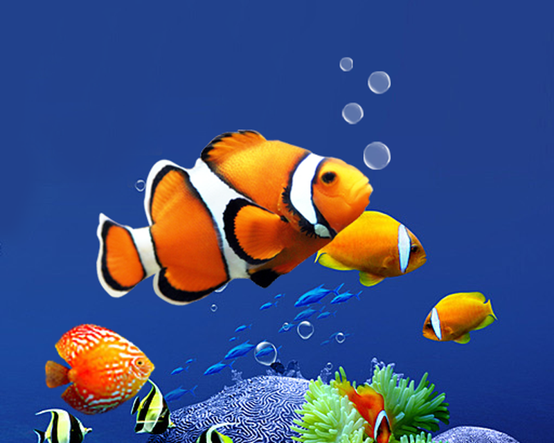 Aquarium Live Wallpaper HD APK - Free