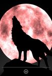 Wolf Live Wallpaper Bild 7