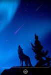 Wolf Live Wallpaper image 8