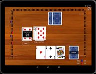 Screenshot 9 di Cribbage Classic apk