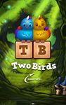 Two Birds jeu de mots capture d'écran apk 6