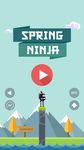 Spring Ninja ảnh số 14