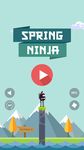 Spring Ninja ảnh số 