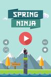 Imagine Spring Ninja 9