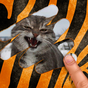 Scratch and guess the animal apk icon