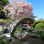 Sakura Garden Live Wallpaper Simgesi