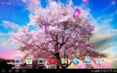 Captura de tela do apk Sakura Garden Live Wallpaper 