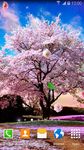 Captura de tela do apk Sakura Garden Live Wallpaper 6