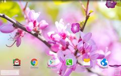 Sakura Garden Live Wallpaper capture d'écran apk 1