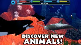 Tangkapan layar apk Orca Simulator 5