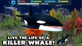 Tangkapan layar apk Orca Simulator 4