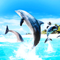 Delfines Fondo Animado apk icono