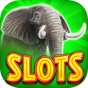 APK-иконка Slots Super Safari Free Slots