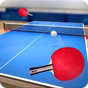 Icona Table Tennis Touch