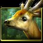 Forest HD apk icon