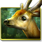 Forest HD APK