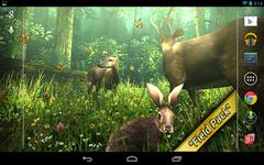 Forest HD image 11