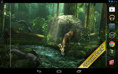 Forest HD Bild 10