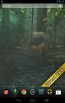 Forest HD Bild 8