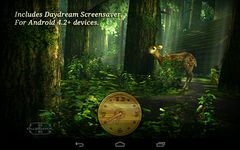 Forest HD Bild 7