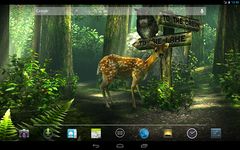 Forest HD afbeelding 6