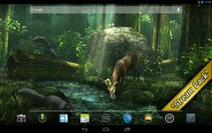 Forest HD Bild 1