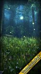 Forest HD image 19