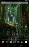 Forest HD Bild 18