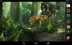 Forest HD afbeelding 14