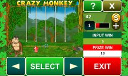 Crazy Monkey slot machine imgesi 8