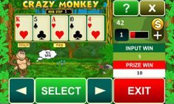 Imagem 6 do Crazy Monkey slot machine