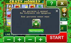 Crazy Monkey slot machine imgesi 3