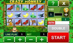 Imagen 4 de Crazy Monkey slot machine