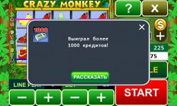Imagem  do Crazy Monkey slot machine