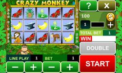 Crazy Monkey slot machine imgesi 14