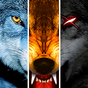 Wolf Online 아이콘