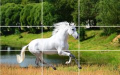 Картинка 5 Пазл - Красивые лошади