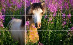 Imagem 3 do Puzzle - Cavalos bonitos