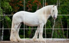 Imagen 2 de Puzzle - hermosos caballos