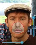 Face Paste capture d'écran apk 1