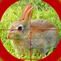 francotirador caza del conejo APK