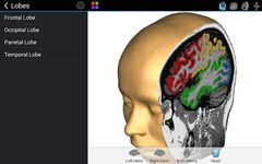 Скриншот 14 APK-версии Brain Tutor 3D