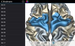 Скриншот 13 APK-версии Brain Tutor 3D