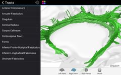 Скриншот 12 APK-версии Brain Tutor 3D