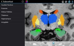 Скриншот 11 APK-версии Brain Tutor 3D