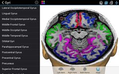 Скриншот 10 APK-версии Brain Tutor 3D